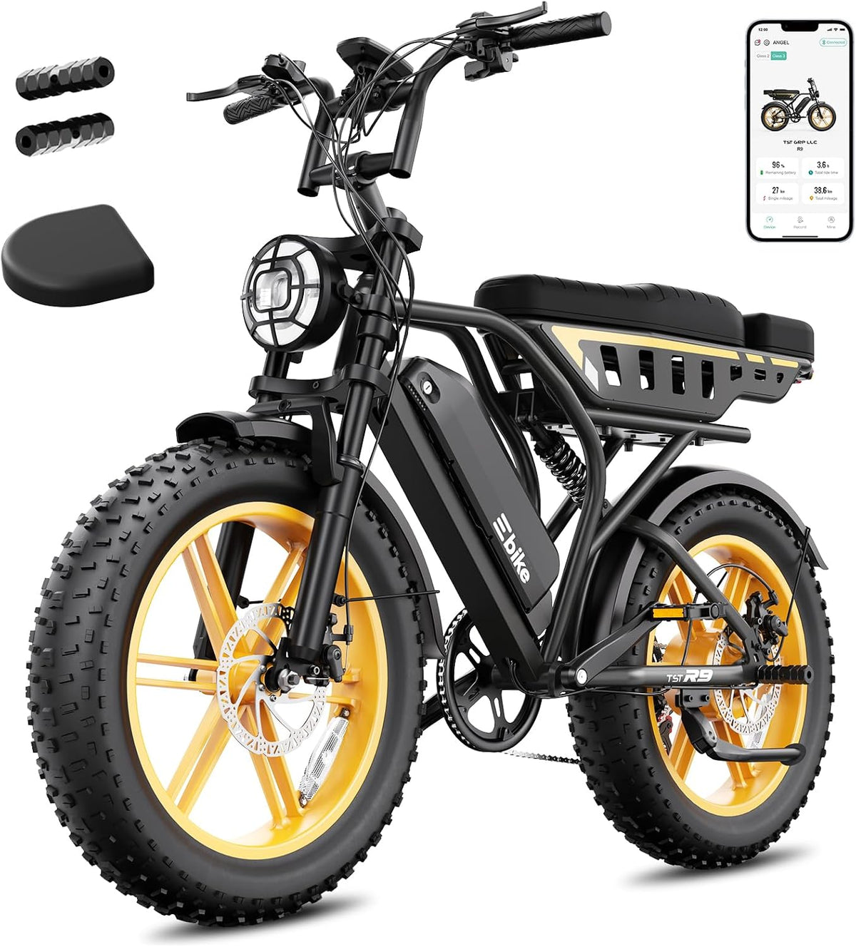 48V Removable Battery Retro,28MPH Top Speed