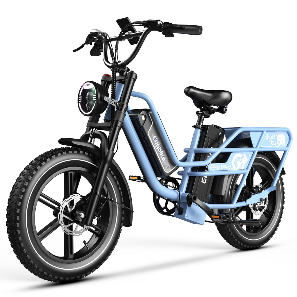 Dual Battery for Adults, Cargo with 48V 60AH