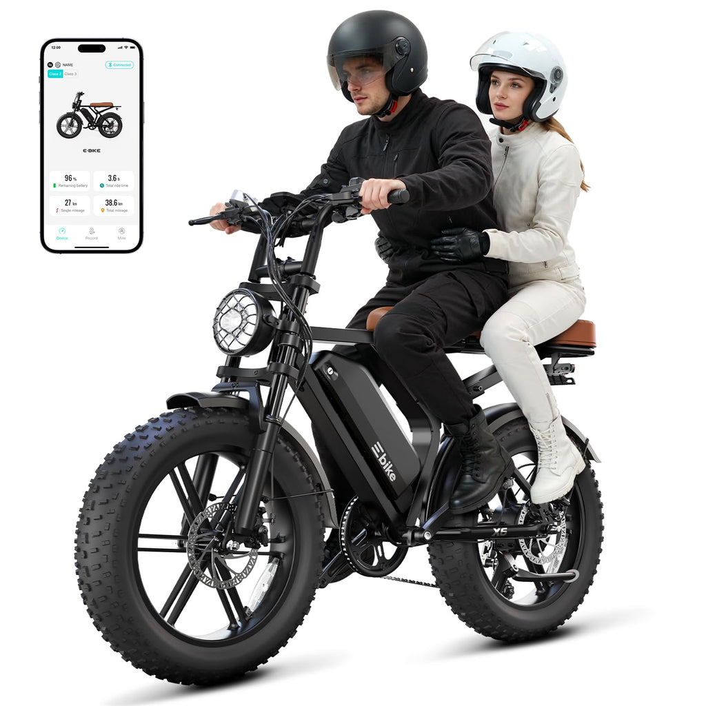 48V Removable Battery Retro,28MPH Top Speed