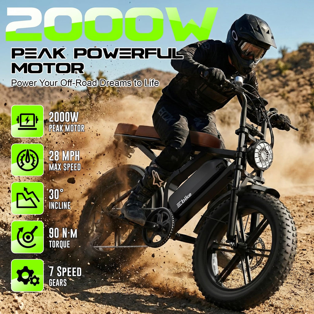 48V Removable Battery Retro,28MPH Top Speed