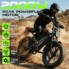 48V Removable Battery Retro,28MPH Top Speed