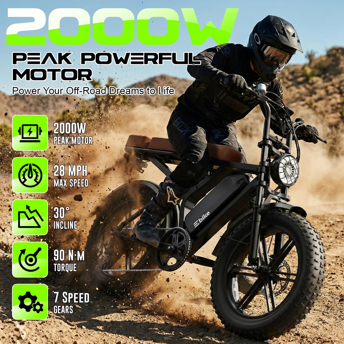 48V Removable Battery Retro,28MPH Top Speed