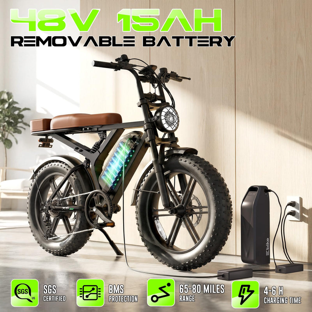 48V Removable Battery Retro,28MPH Top Speed
