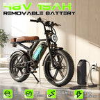 48V Removable Battery Retro,28MPH Top Speed