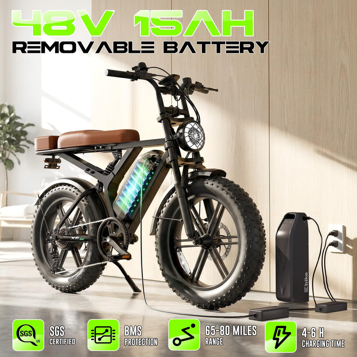 48V Removable Battery Retro,28MPH Top Speed