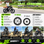 48V Removable Battery Retro,28MPH Top Speed