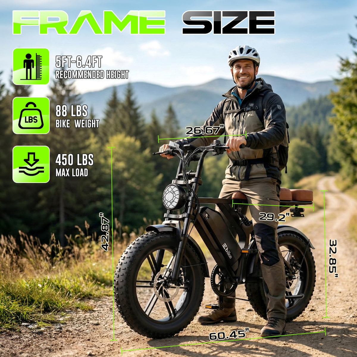 48V Removable Battery Retro,28MPH Top Speed