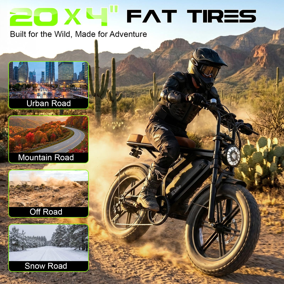 48V Removable Battery Retro,28MPH Top Speed